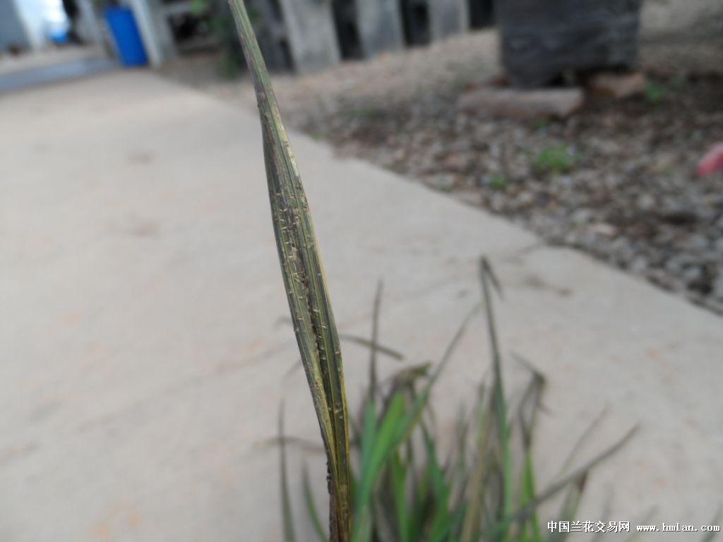 维权,实事求是反应问题,提出疑问。我错了吗?