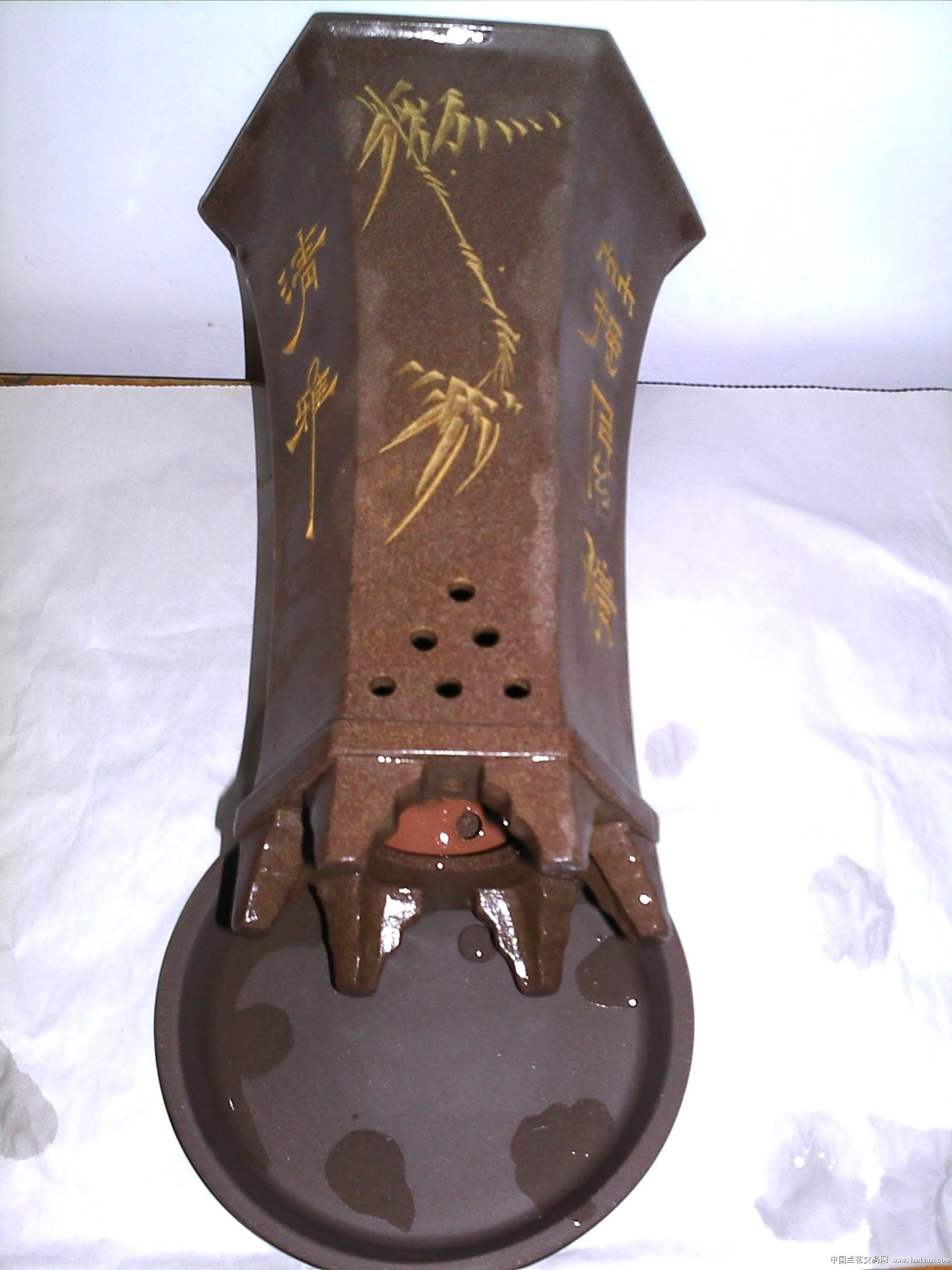 人在江湖飘哪能不挨刀!-养兰环境-中国兰花交易