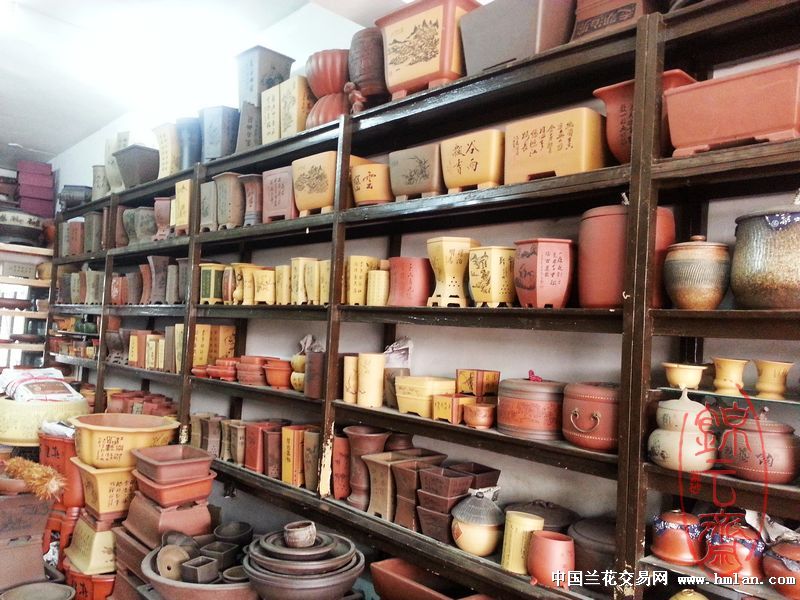 我要开店-申请卖家-中国兰花交易网社区