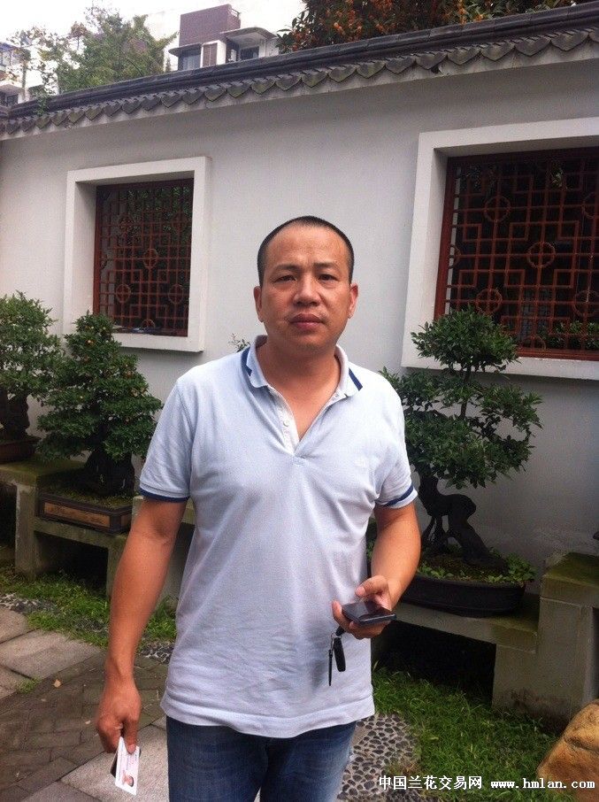 成都什邡赵小红-申请卖家-中国兰花交易网社区