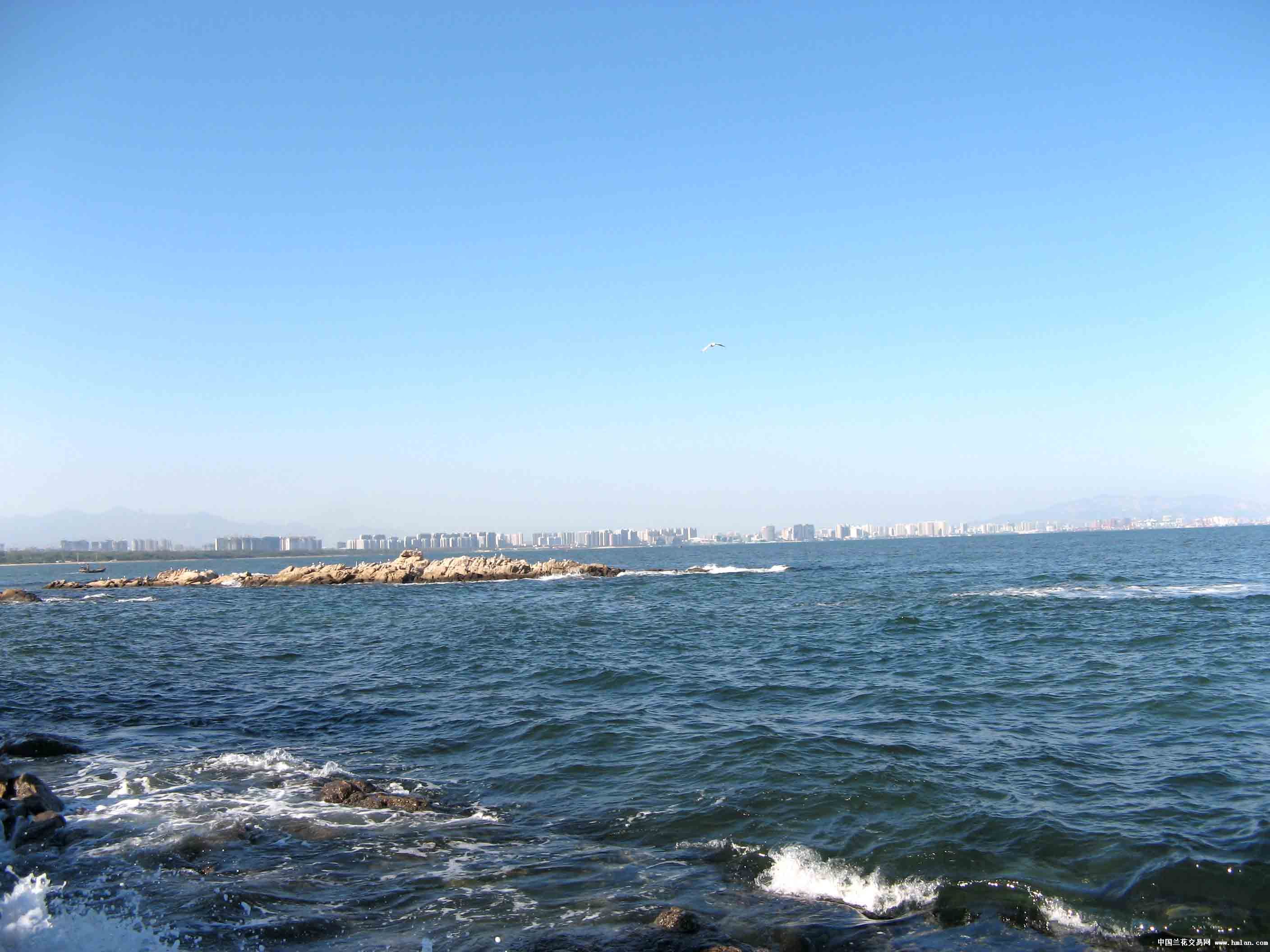 大海啊故乡(北戴河七月海摄影基地)音乐风光片