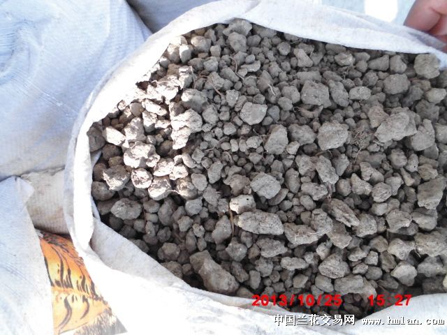 回归传统自然纯山泥种植-种养心得-中国兰花交易网社区