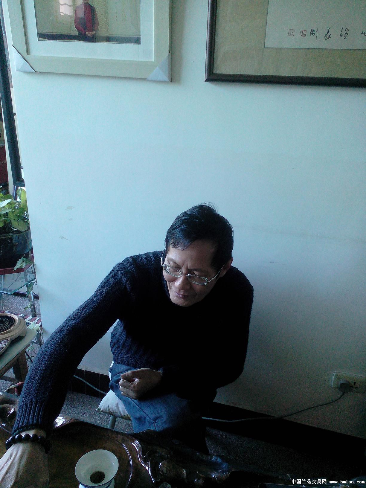 陈正义论书法-摄影书画-中国兰花交易网社区