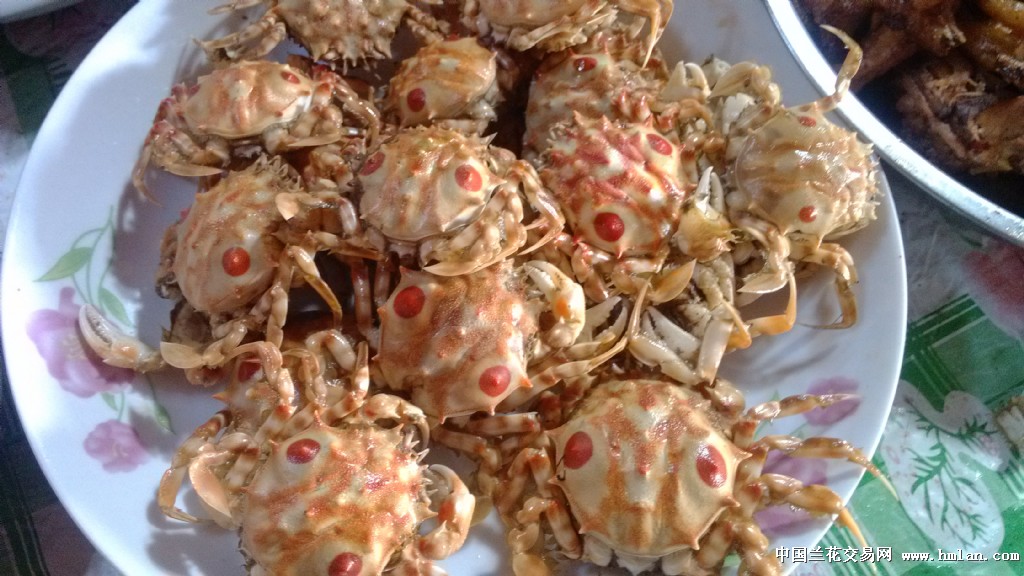海鲜干货_海鲜干货包装_海鲜干货店名(4)
