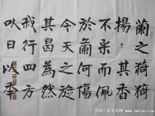 兰友请看你的:马斗进书法《幽兰操》-国兰文化-中国兰花交易网社区