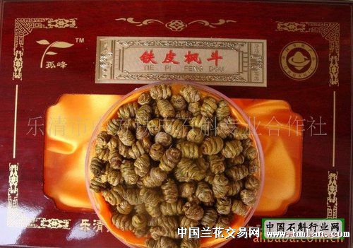 从霍山石斛用组培产业化,谈国兰的组培产业化