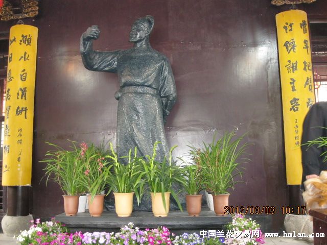 溧阳市第十八届春兰展-兰花新闻-中国兰花交易