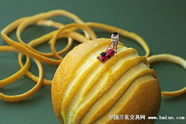 食物放大100倍，吃货缩小100倍后的视觉味觉双重体验!