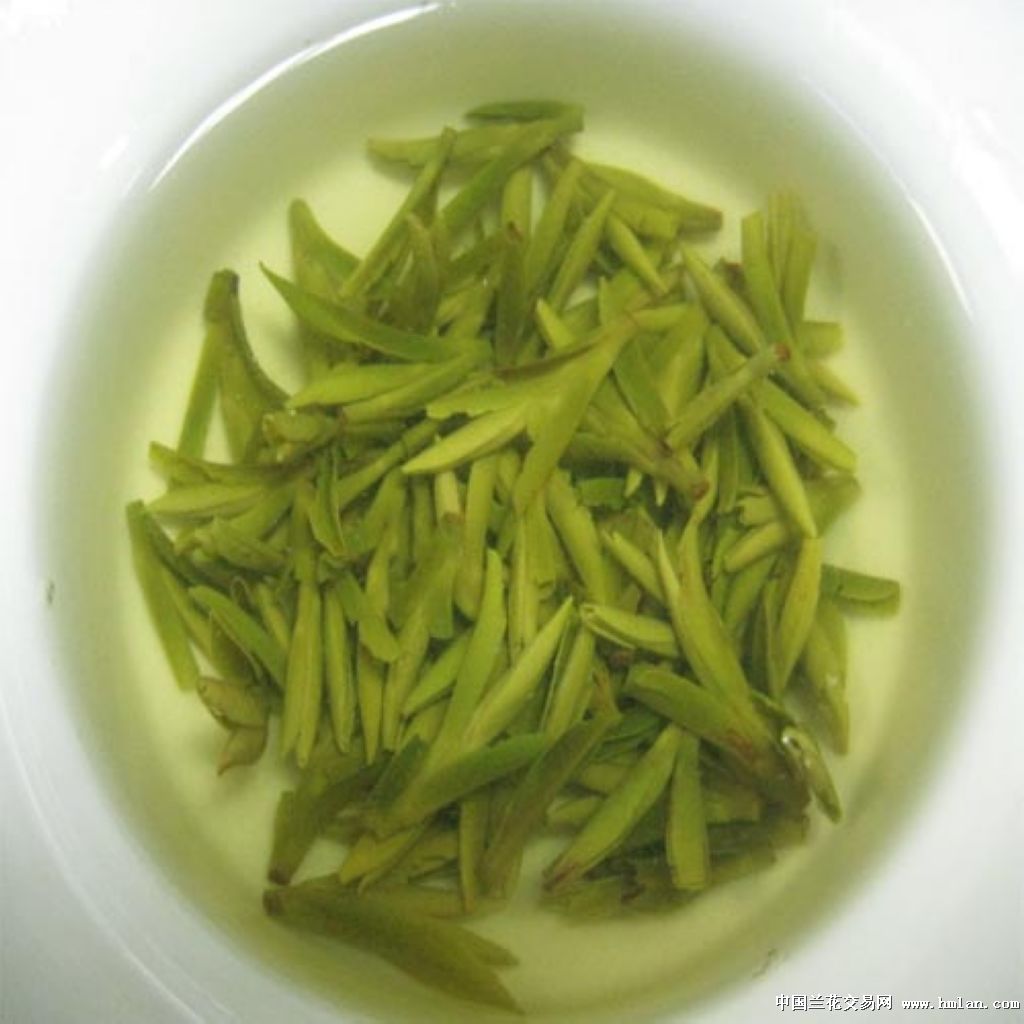 2012新茶 峨眉山--竹叶青茶叶-- 特级春茶头芽