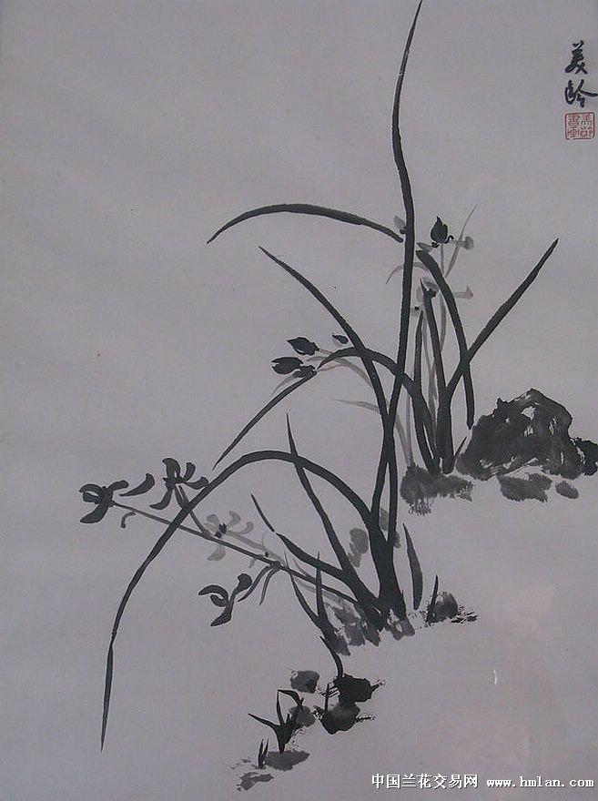 宋美龄女士的兰画