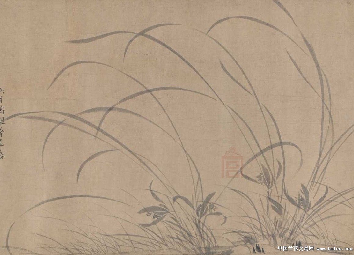 中国绘画史上画兰花排的上号的画家-春兰篇-中