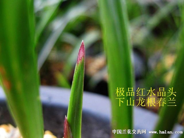 ƯĴ [ˮ]-ƪ-