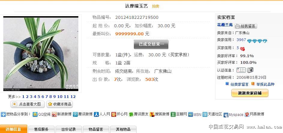 目前市面叫价最贵的兰花是哪种??-以兰会友-中国兰花交易网社区