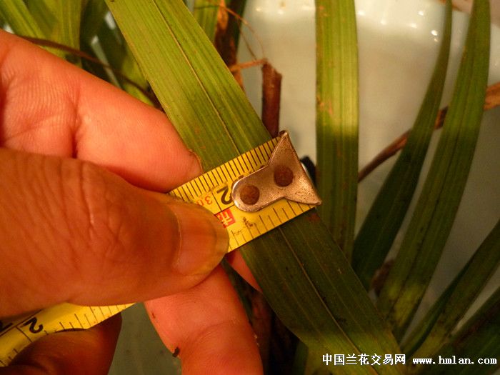 好玩的王乐乐_说两件好玩的事