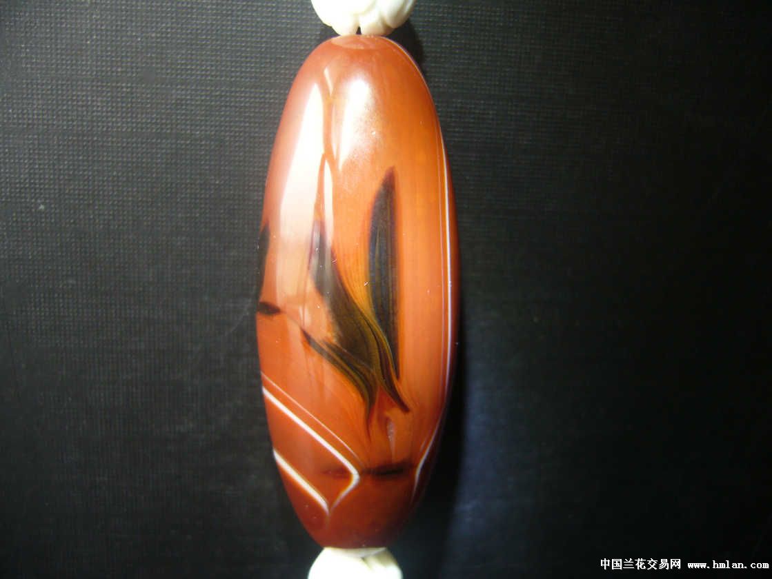 割肉喂鹰--天珠里的神奇故事-奇石论坛-中国兰