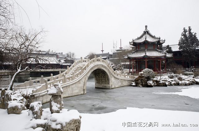 保定市第六届迎新春兰花展 邀 请 函