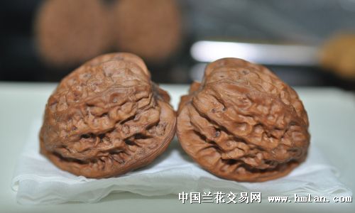 虎头文玩大个核桃