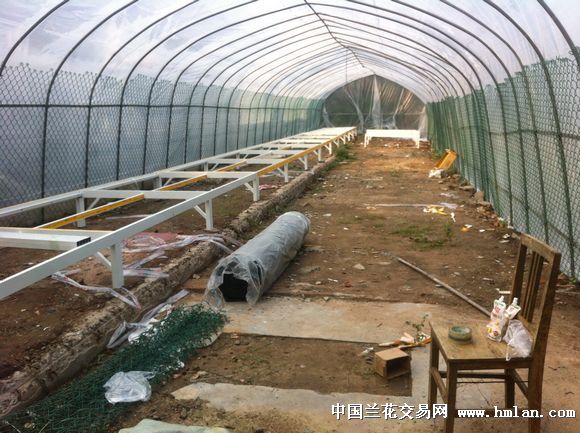 不管兰市怎么走我们还要继续努力造简易兰花大棚