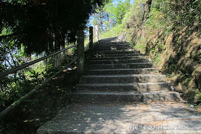 龙岩天宫山