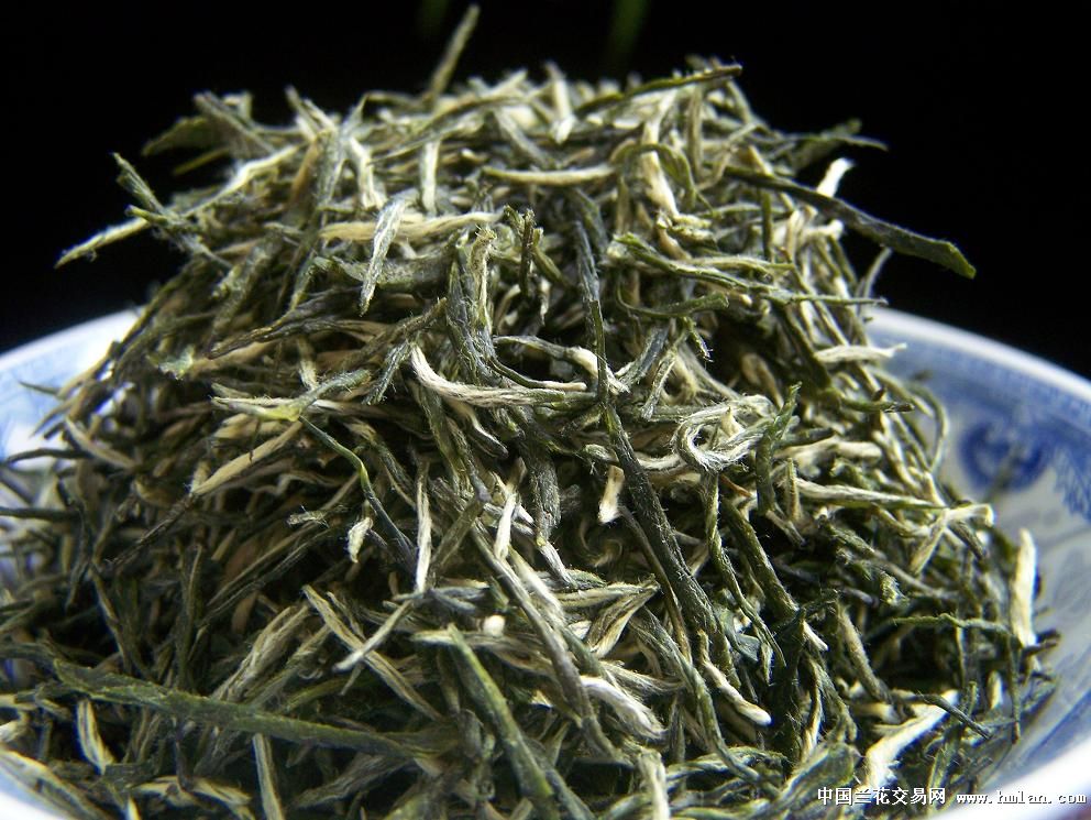 一款新茶古丈毛尖