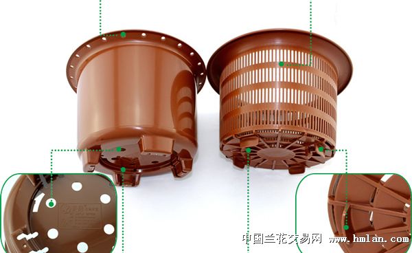 美莳浅圆控根兰盆