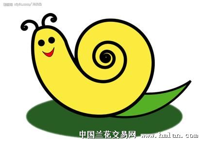 蜗牛也是牛兰兄 这名字真好-茶余兰后-中国兰花