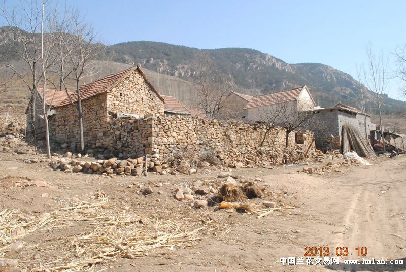 fever先生资助沂蒙山区贫困学生汇报