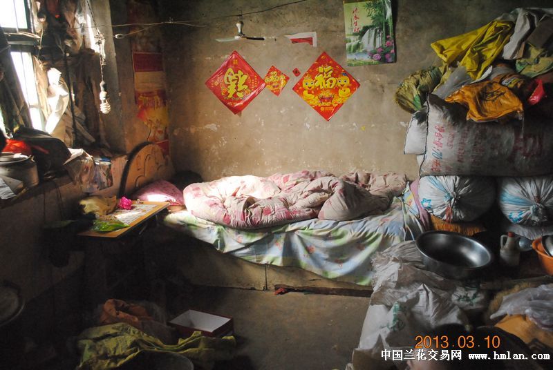 fever先生资助沂蒙山区贫困学生汇报-爱心公益