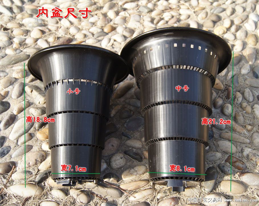 美莳中号控根兰盆