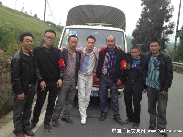 四川雅安荥经县兰花协会抗震救灾-兰花新闻-中