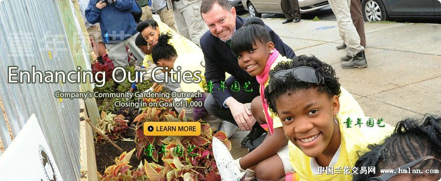 ★2斤美国奥绿315S缓释肥★