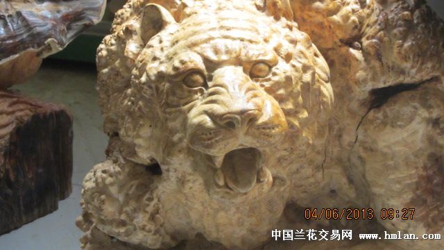 欣赏根雕吧-盆景园艺-中国兰花交易网社区