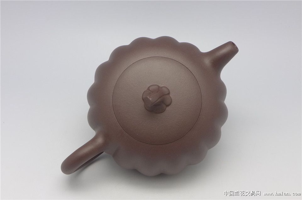 范家壶庄范秀红作品