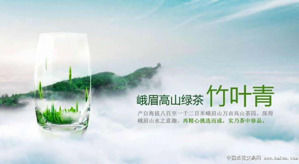 峨眉山竹叶青茶【图片 价格 包邮 视频】图片