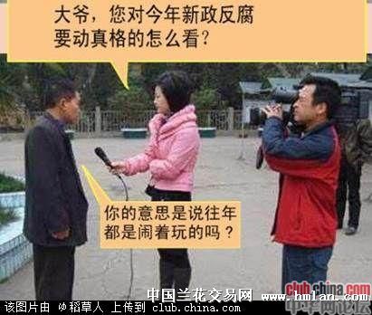 实话实说 大爷又答记者问了-茶余兰后-中国兰花