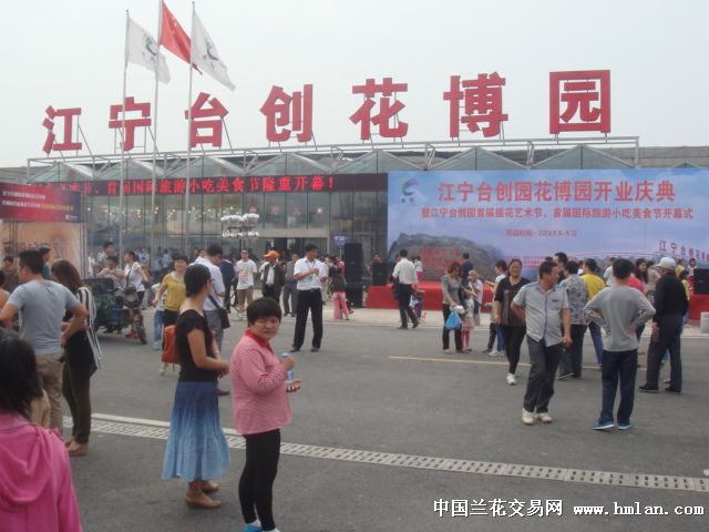 南京最大的花卉宠物市场今日在江宁区陶吴镇开业