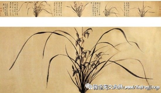 历代名家画兰全集(转)