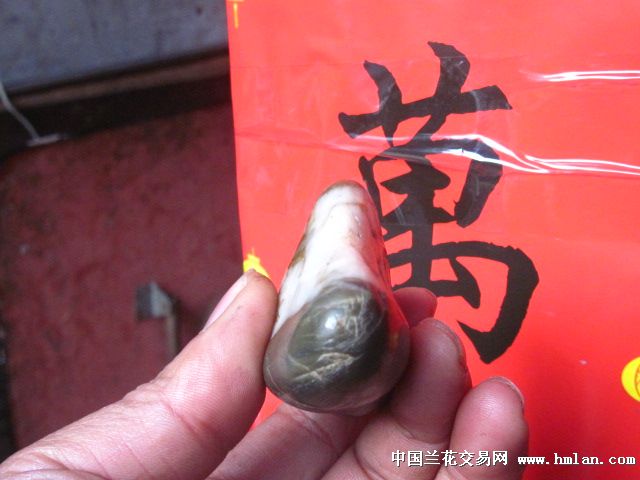 3寸金莲兰花脚-茶余兰后-中国美女交易网美女社区1000图片