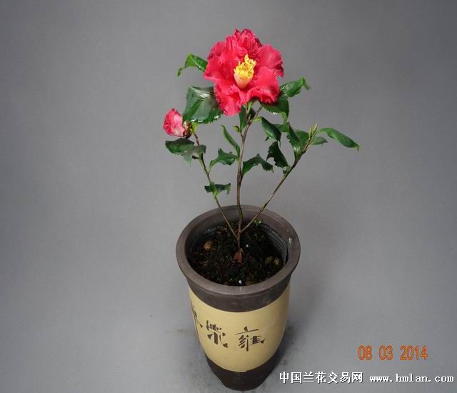 軨Ҷ滨23(07)