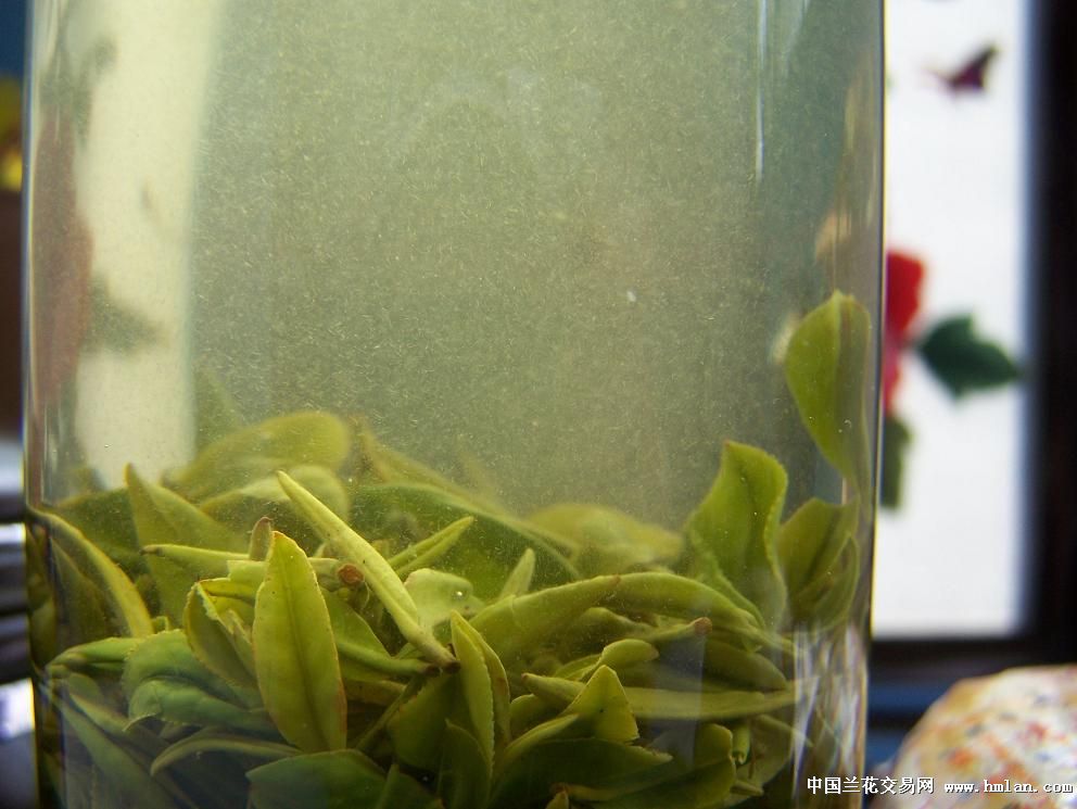 将茶作为一种爱好,现在想要深入了解一些茶文化知识,应该怎么做?