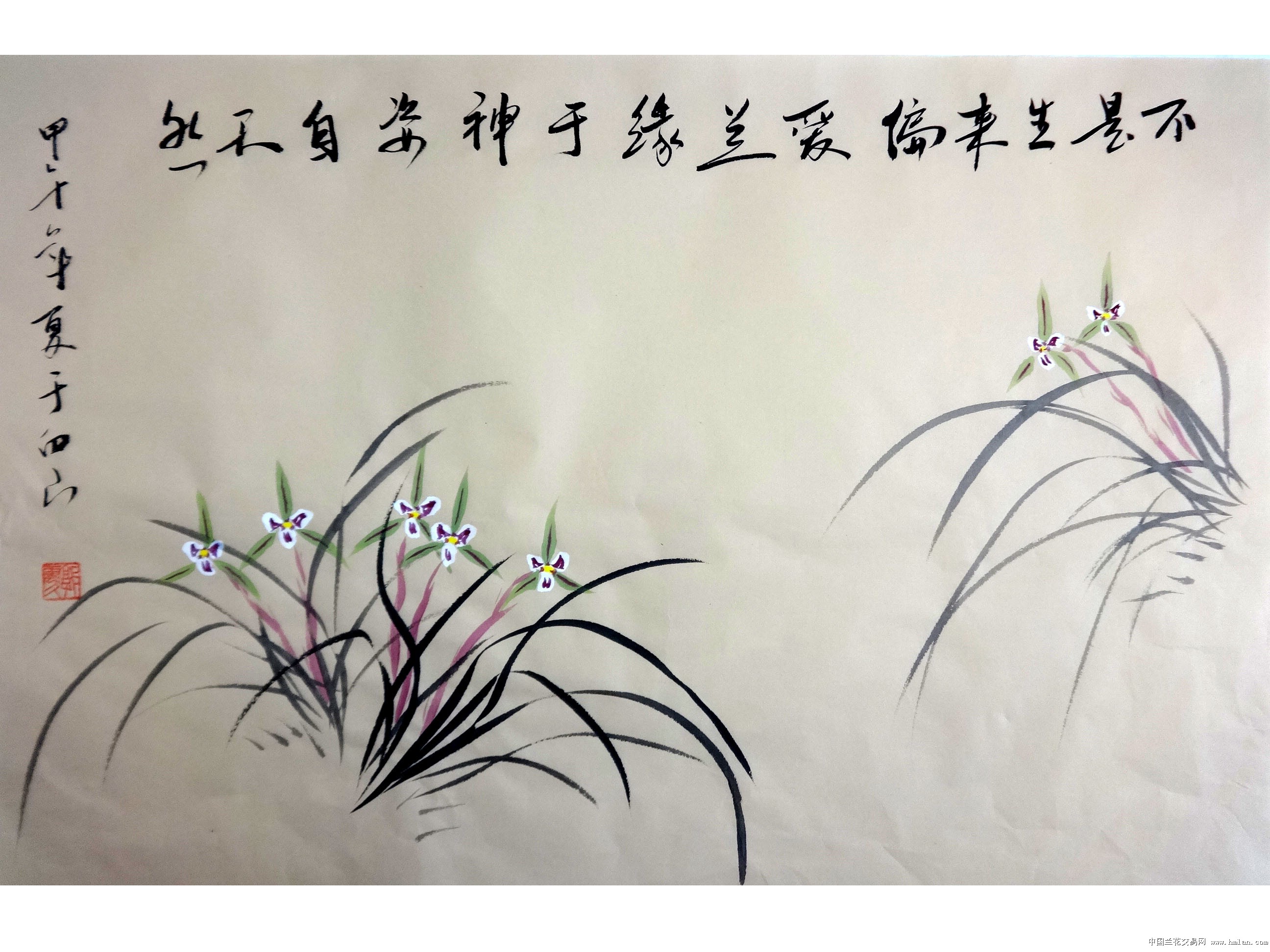 0起拍国画兰花写意不是生来偏爱兰