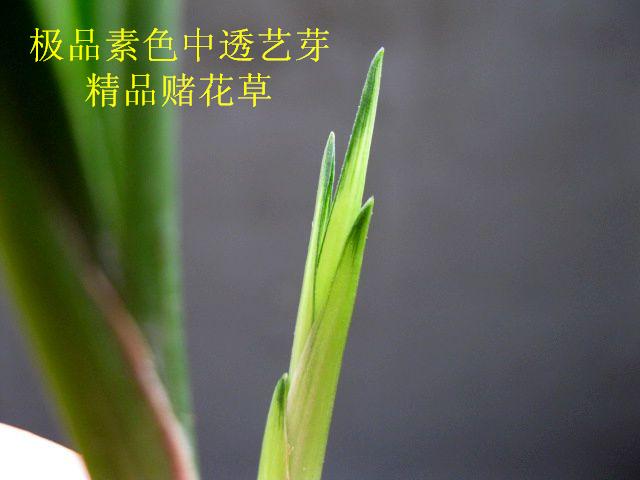 /Ƶ͸.ɫѿ[Ʒ]