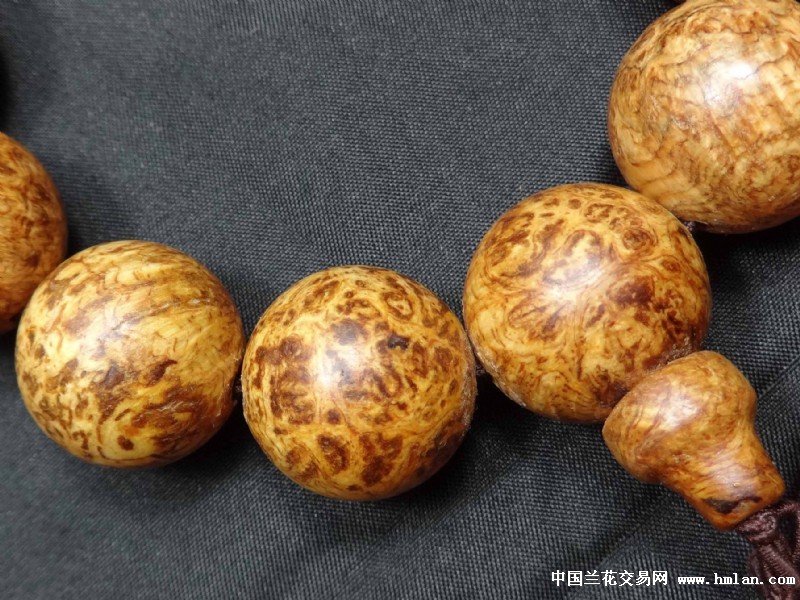 长白山兰花木樱瘤手串-茶余兰后-中国琥珀v兰花小学生感谢信图片