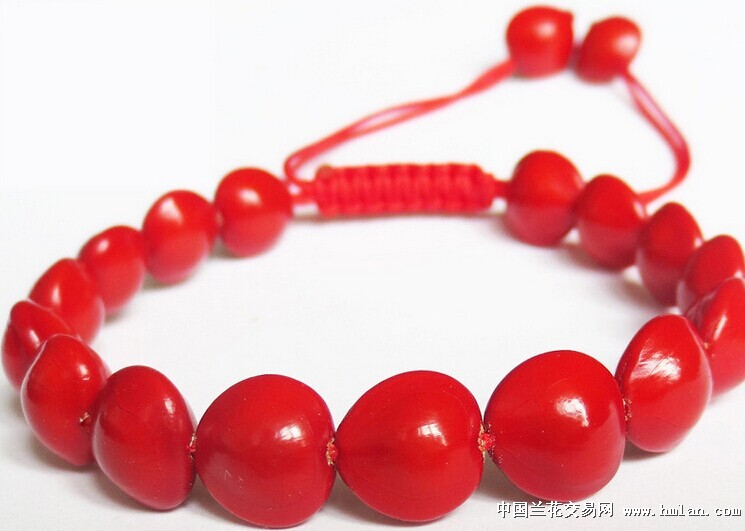 菩提红豆手链 - 中国兰花交易网