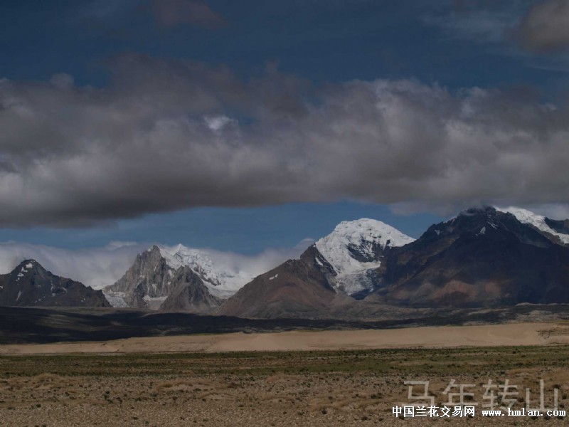 点击图片在新窗口浏览原图