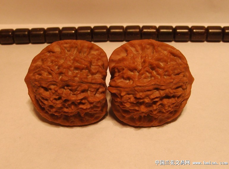 文玩核桃--38.9野生马老四狮子头-促销活动-中