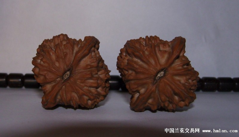 文玩核桃--38.9野生马老四狮子头-促销活动-中